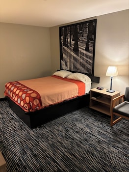 Suite, 1 Queen Bed, Smoking