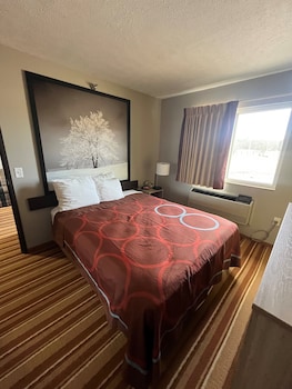 Suite, 1 Queen Bed