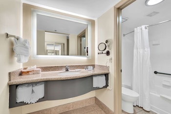 Suite, 1 King Bed, Non Smoking, Refrigerator & Microwave (with Sofabed)