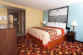 Room, 1 King Bed, Non Smoking (Pet-friendly, 2nd Floor)