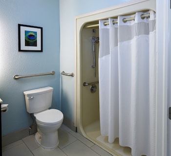 Standard Room, 1 King Bed, Accessible (Mobility, Roll-In Shower)