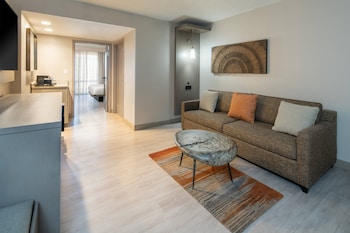Suite, 1 King Bed with Sofa bed