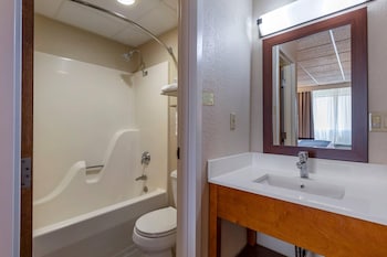 Room, 1 King Bed, Non Smoking