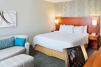 Room, 1 King Bed with Sofa bed
