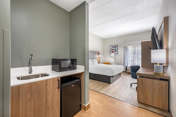 Standard Room, 1 King Bed, Non Smoking, Jetted Tub