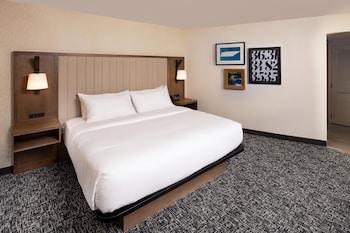 Room, 1 King Bed