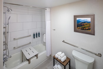 Room, 1 King Bed, Mobility Accessible
