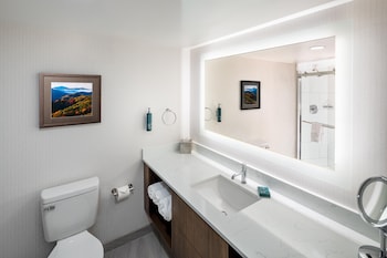 Room, 1 King Bed