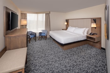 Room, 1 King Bed