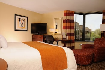 Room, 1 King Bed, Accessible, Bathtub (Mobility)