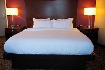 Room, 1 King Bed, Refrigerator