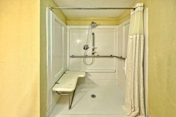 Room, 1 Queen Bed, Accessible (Mobility & Hearing, Roll-in Shower)