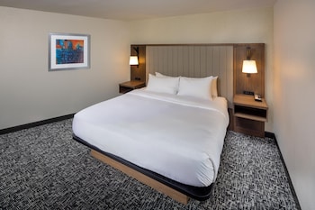 Room, 1 King Bed