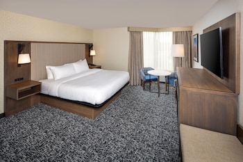 Room, 1 King Bed