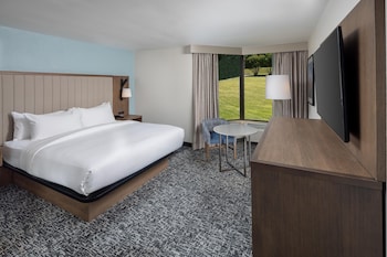 Room, 1 Queen Bed, Accessible (Mobility & Hearing, Roll-in Shower)
