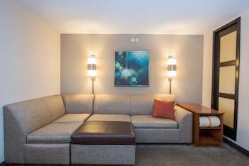 Room, 1 King Bed, Accessible, Bathtub