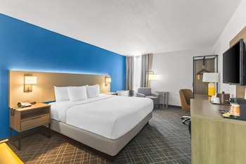 Standard Room, 1 King Bed, Non Smoking