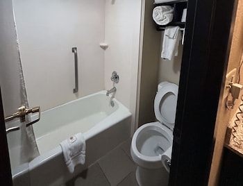 Standard Studio Suite, Multiple Beds, Non Smoking (Upgrade)