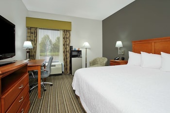 Room, 1 King Bed, Accessible, Non Smoking, Roll-In Shower