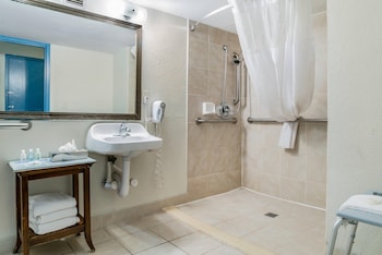 Business Room, 1 King Bed, Accessible, Non Smoking