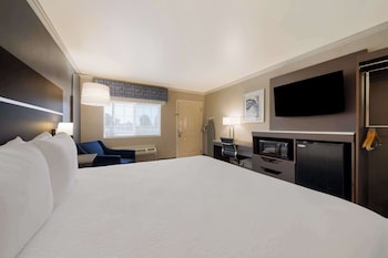 Standard Room, 1 King Bed, Accessible, Bathtub