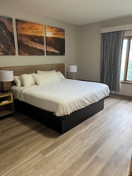 Room, 1 King Bed, Non Smoking