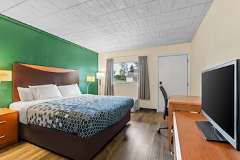 Room, 1 King Bed, Non Smoking, Kitchenette