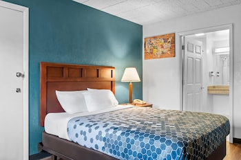 Room, 1 Queen Bed, Mobility Accessible, Non Smoking (Bathtub w/ Grab Bars)