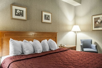 Room, 1 King Bed, Refrigerator & Microwave, Ground Floor