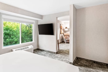 Room, 1 King Bed, Non Smoking