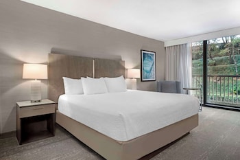 Standard Room, 1 King Bed, Non Smoking, Refrigerator & Microwave (Non Pet Friendly)
