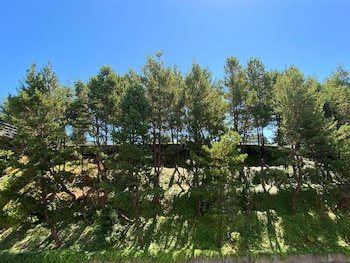 Standard Room, 1 Queen Bed, Bathtub (Non Pet Friendly)