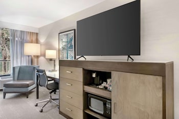 Standard Room, 1 King Bed, Non Smoking, Refrigerator & Microwave (Non Pet Friendly)