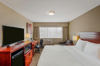 Room, 1 King Bed, Non Smoking