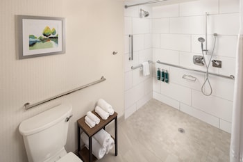 Room, 1 King Bed, Accessible (Roll-in Shower)