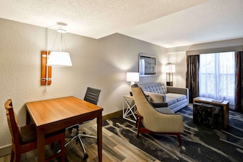 Suite, 1 King Bed with Sofa bed, Accessible (Bathtub)