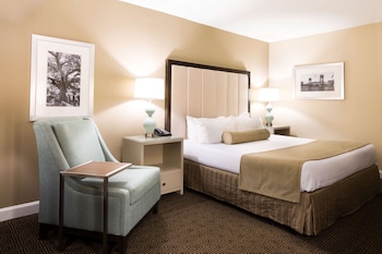Room, 1 King Bed