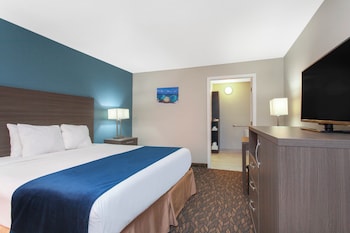 Room, 1 King Bed