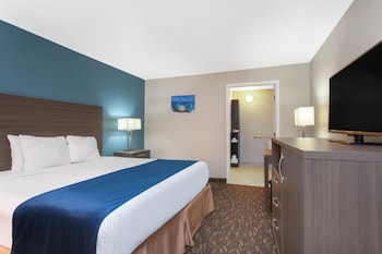 Room, 1 King Bed