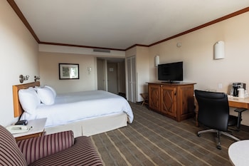 Business Room, 1 King Bed