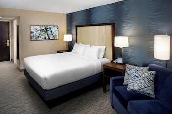 1 King Bed, Mobility Accessible Tub