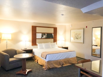 Luxury Single Room, Kitchenette