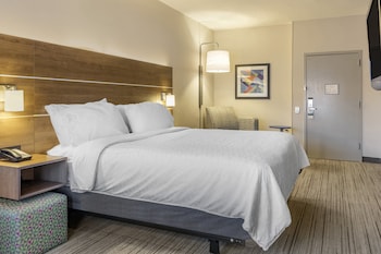 Suite, 1 King Bed with Sofa bed