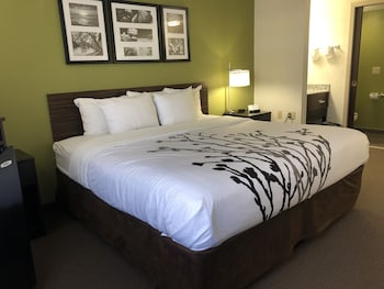 Standard Room, 1 King Bed, Non Smoking, Refrigerator & Microwave