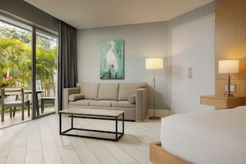 Room, 1 King Bed with Sofa bed (View)