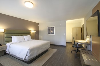 Room, 1 King Bed