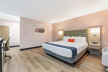 Room, 1 King Bed