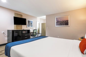 Room, 1 King Bed
