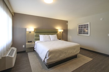 Room, 1 King Bed
