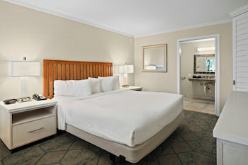Standard Room, 1 King Bed, Accessible